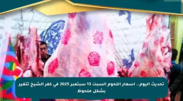 تحديث اليوم.. أسعار اللحوم السبت 13 سبتمبر 2025 في كفر الشيخ تتغير بشكل ملحوظ